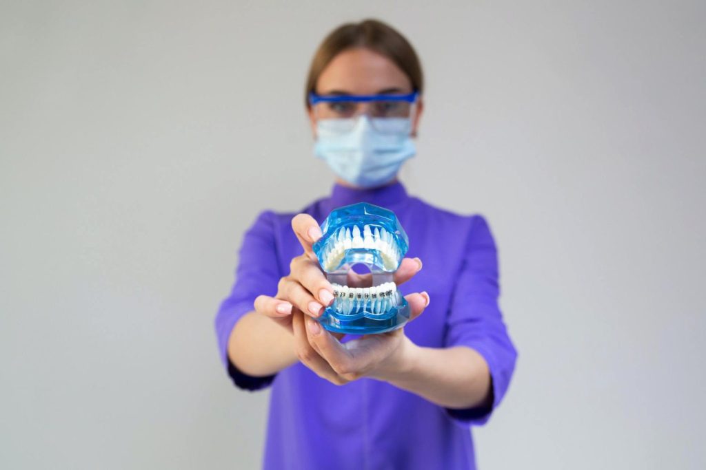Woman holding plastic model of the mouth showing teeth